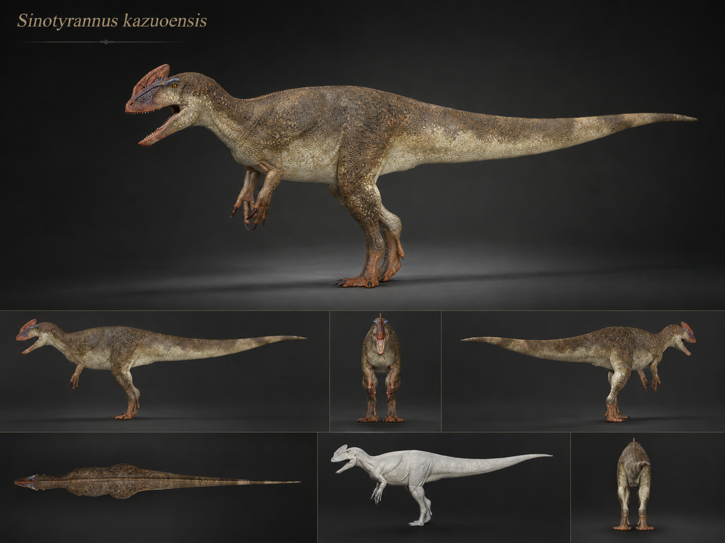 Sinotyrannus kazuoensis